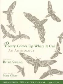 poetry comes up where it can